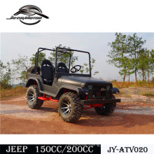 Best Price of Funny UTV 200cc CVT for Teanage